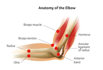 Elbow Surgery at Sports Surgery Clinic